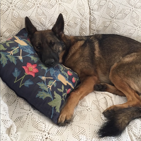 Welcome to my closet! - Picture 3 of 3